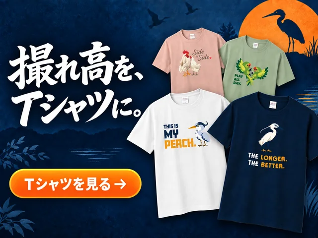 鳥のイラストを使ったitsupinのTシャツ