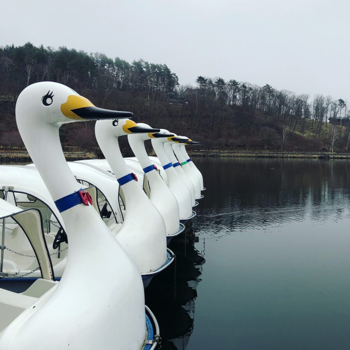 どうどうどう どうどうどう