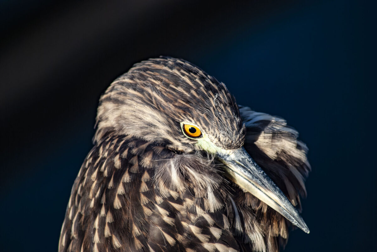 1.5ヶ月の進捗 1.5ヶ月の進捗