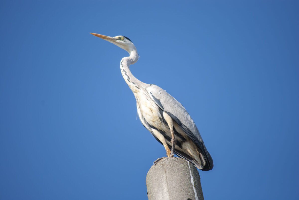 マシを積み重ねる