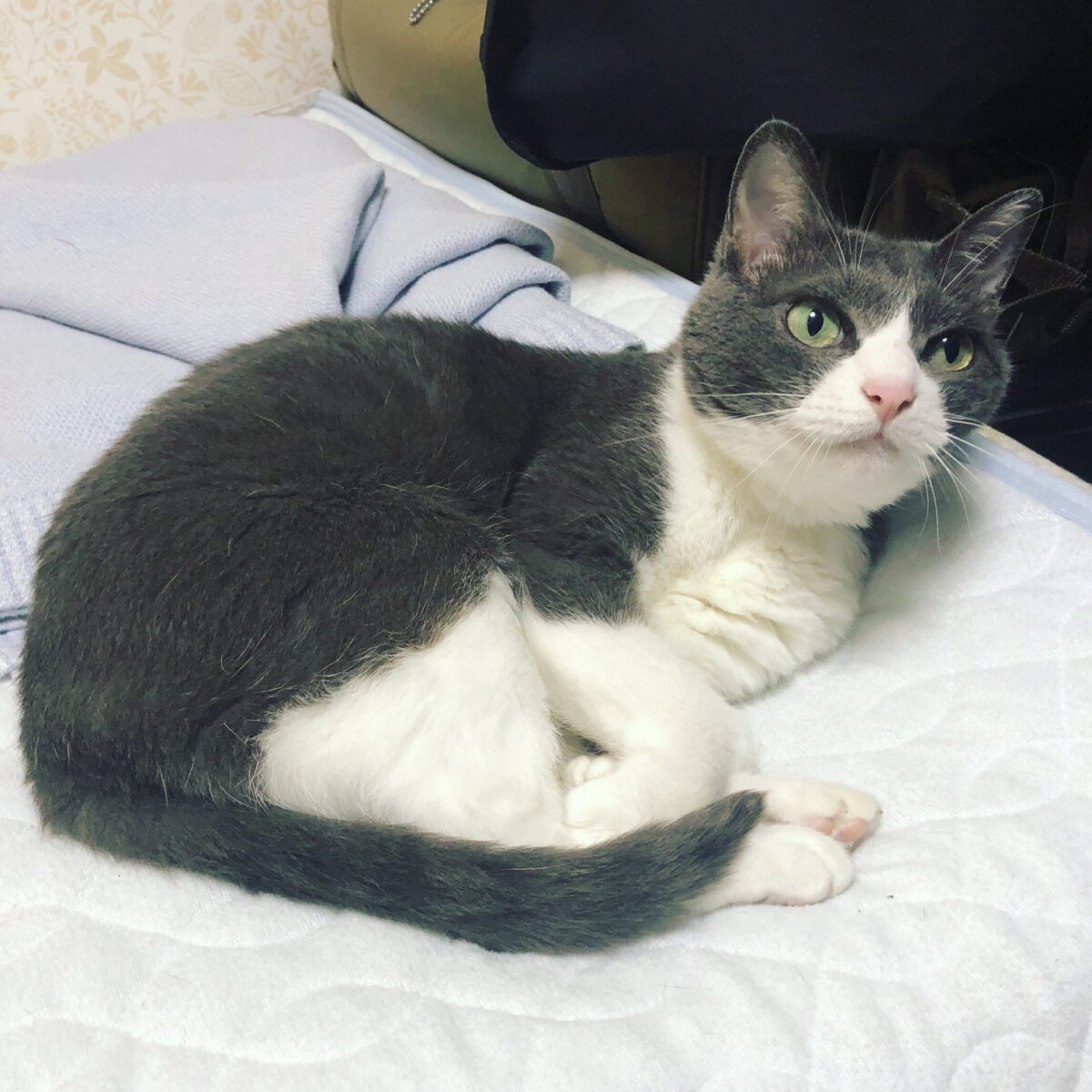 欲しかった余裕