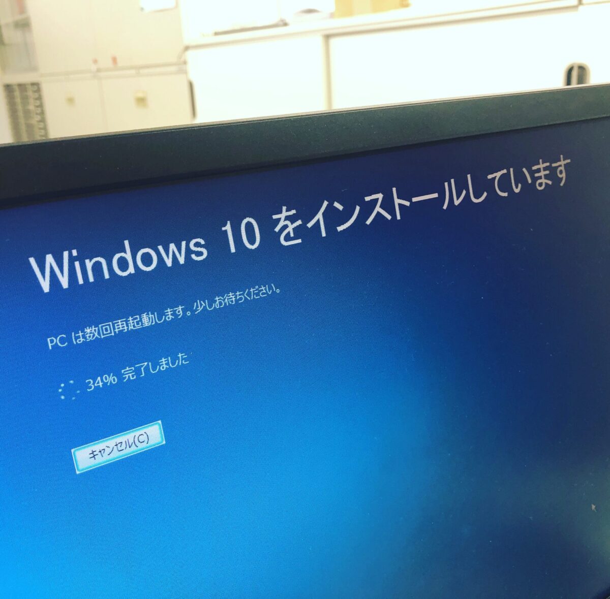ほてっちゃん ほてっちゃん