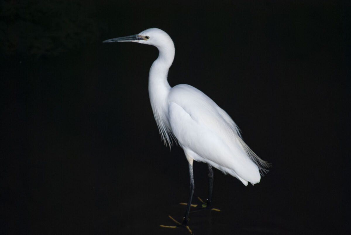 こころあたり こころあたり