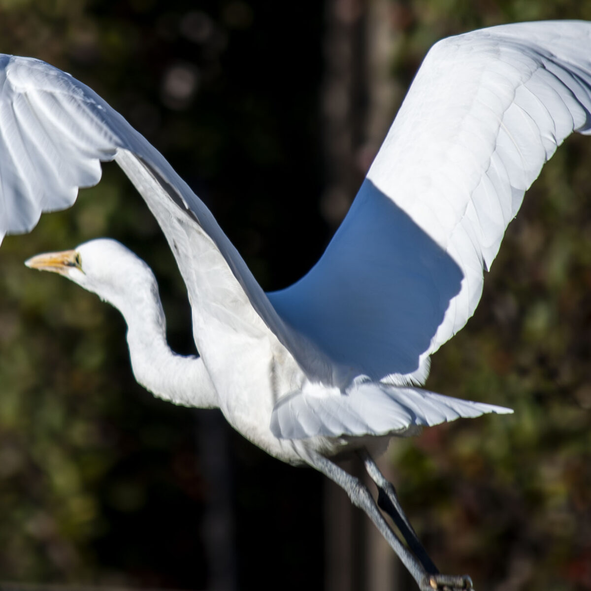 その600mが遠い その600mが遠い