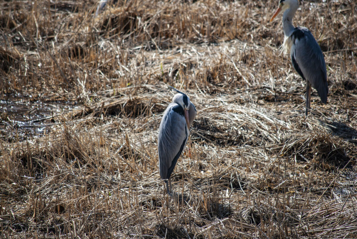 その600mを埋める その600mを埋める