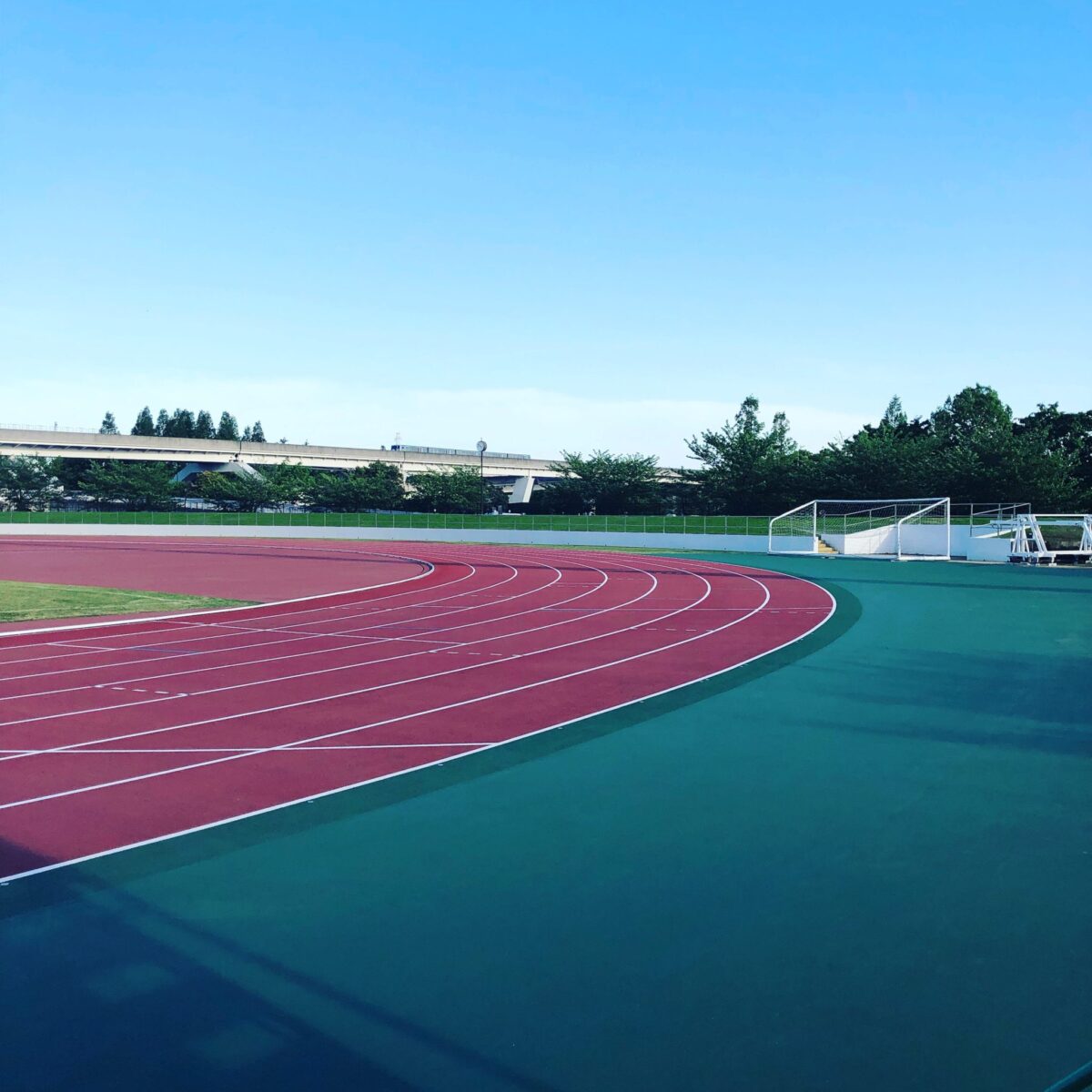 レイワハラハチブ レイワハラハチブ