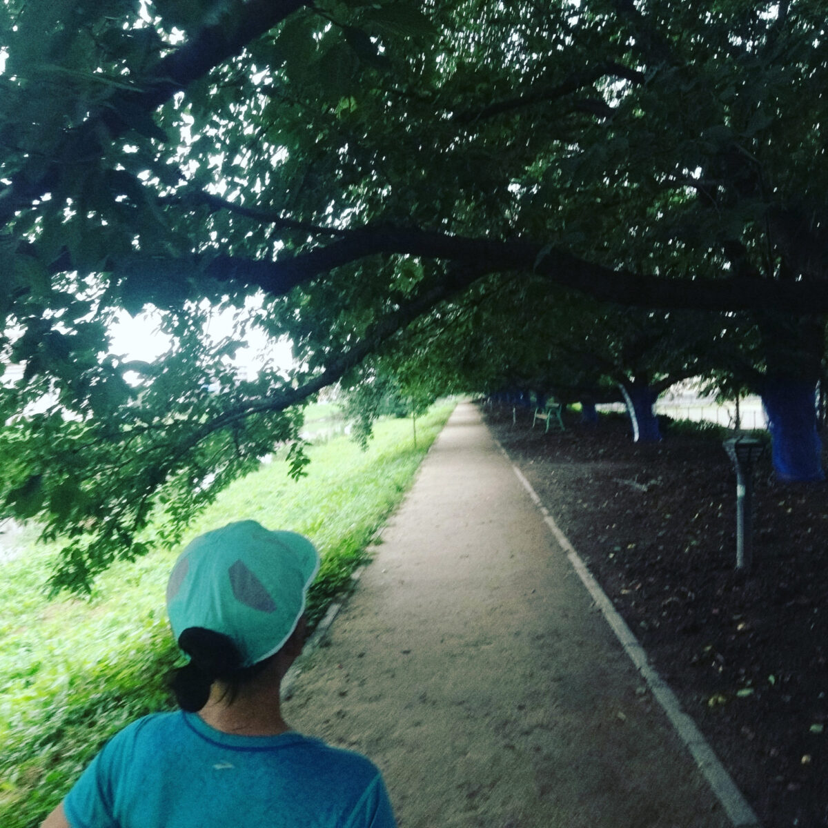 長い中でも短いのを時々 長い中でも短いのを時々