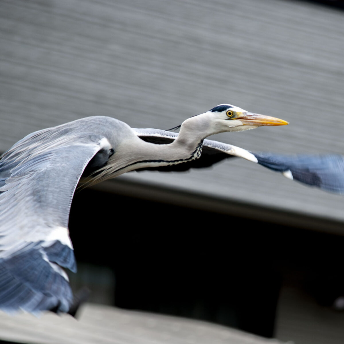 疲労とお付き合いする 疲労とお付き合いする