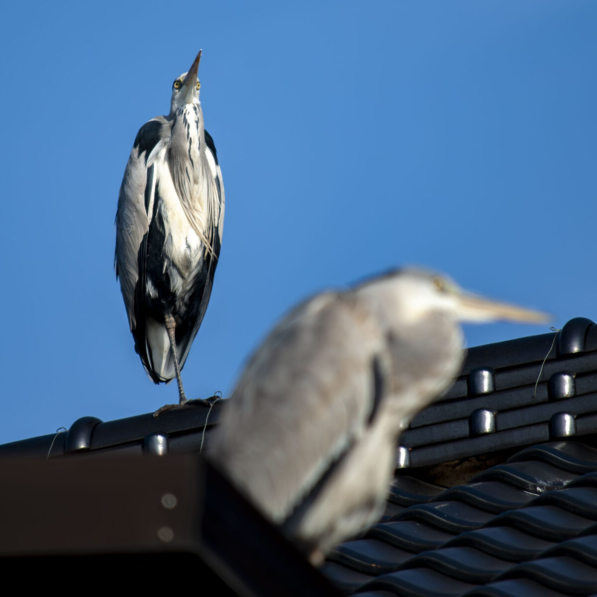 使う場所を変えてみる 使う場所を変えてみる