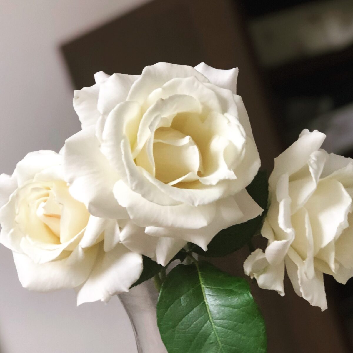 今すでに勝っている