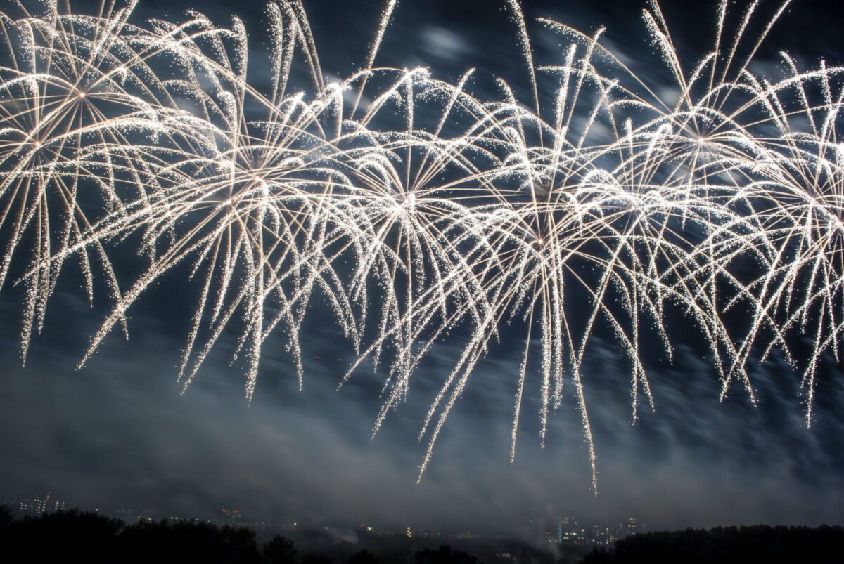 コバトンシーズン再び コバトンシーズン再び