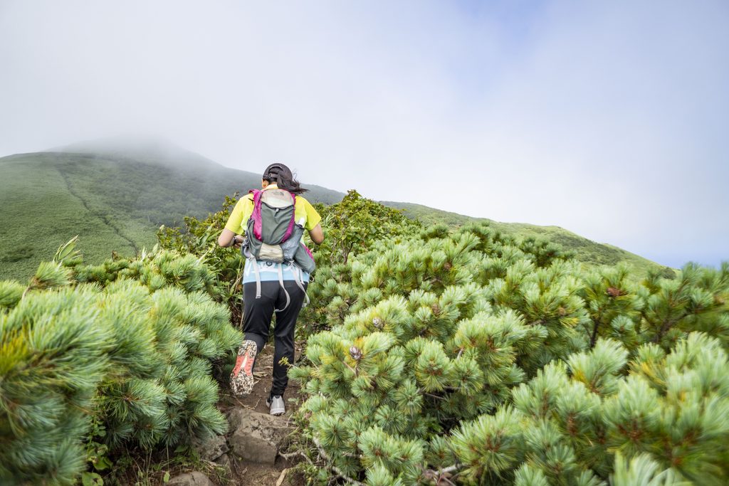 礼文岳登山中