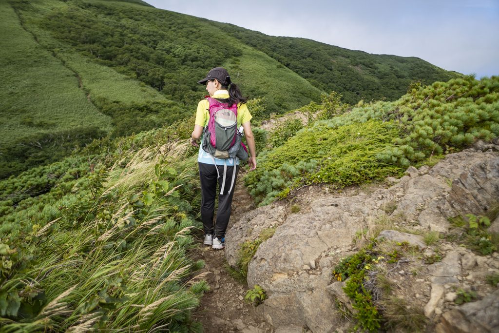 礼文岳登山中