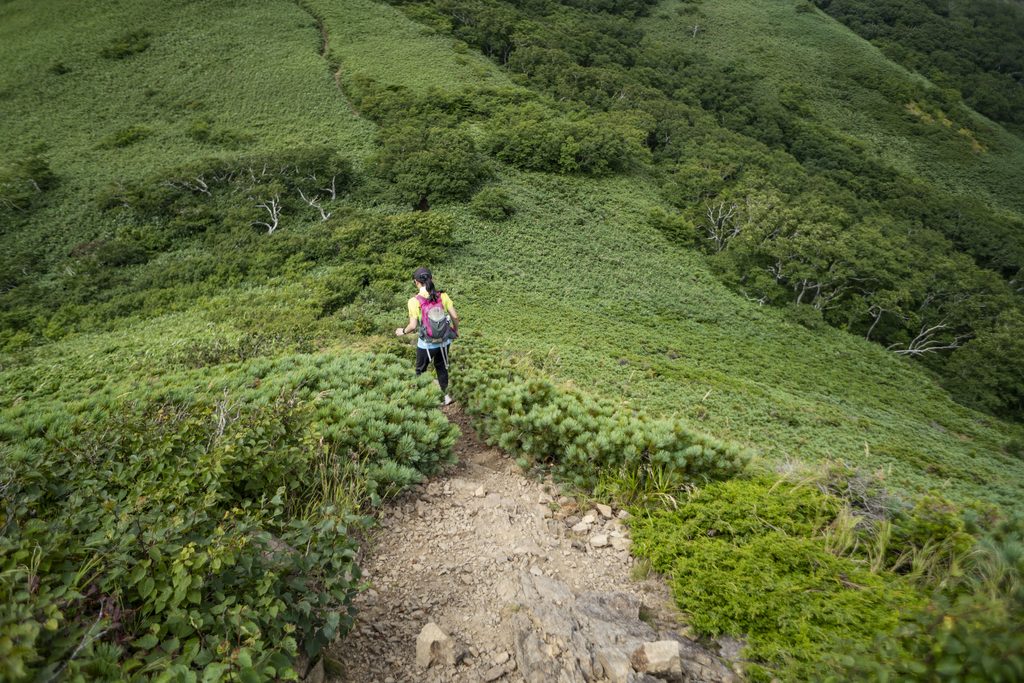 礼文岳登山中