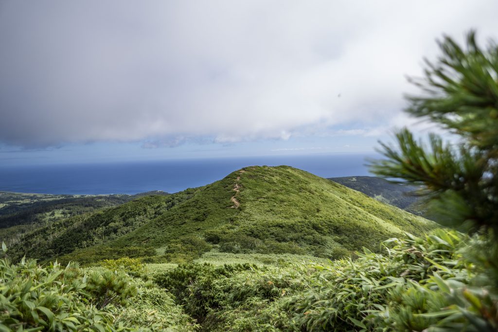 礼文岳登山中