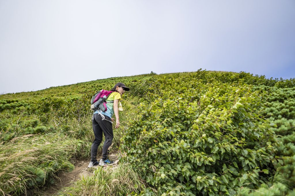 礼文岳登山中
