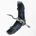 検証不可でも前向きに 検証不可でも前向きに