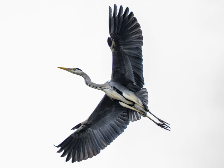 検証不可でも前向きに 検証不可でも前向きに