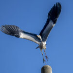 違うシゲキを 違うシゲキを