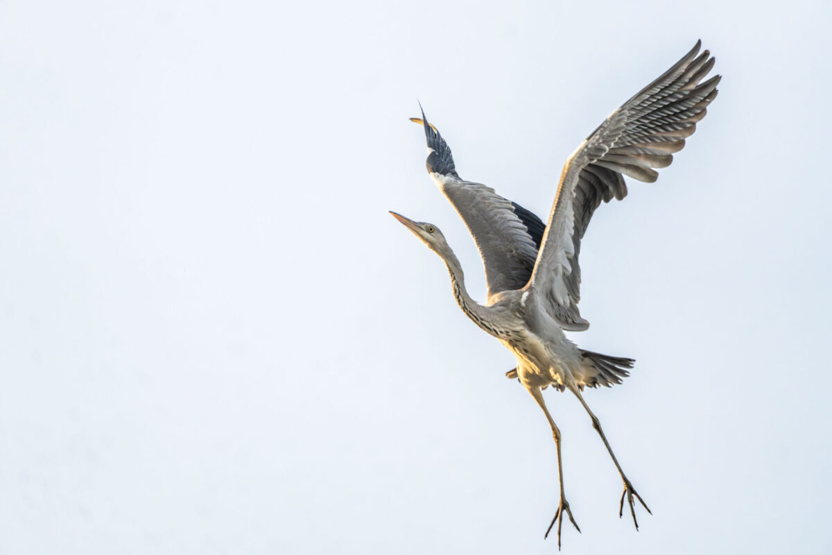 2025年が終わっちゃう