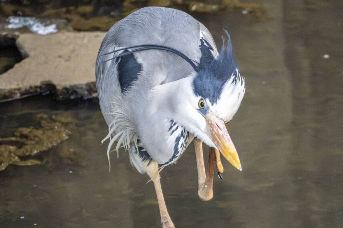 2秒落とせなかった結果 2秒落とせなかった結果