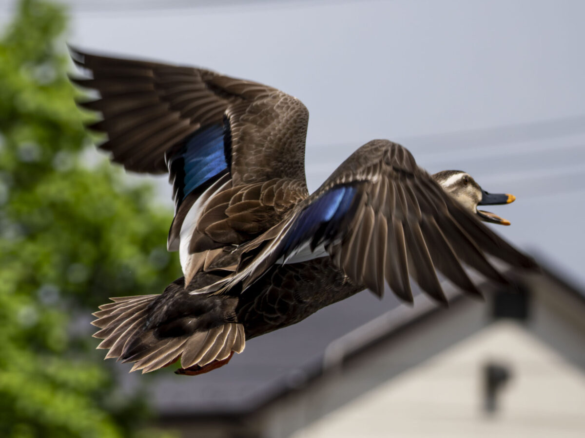 敵は故障だけではない