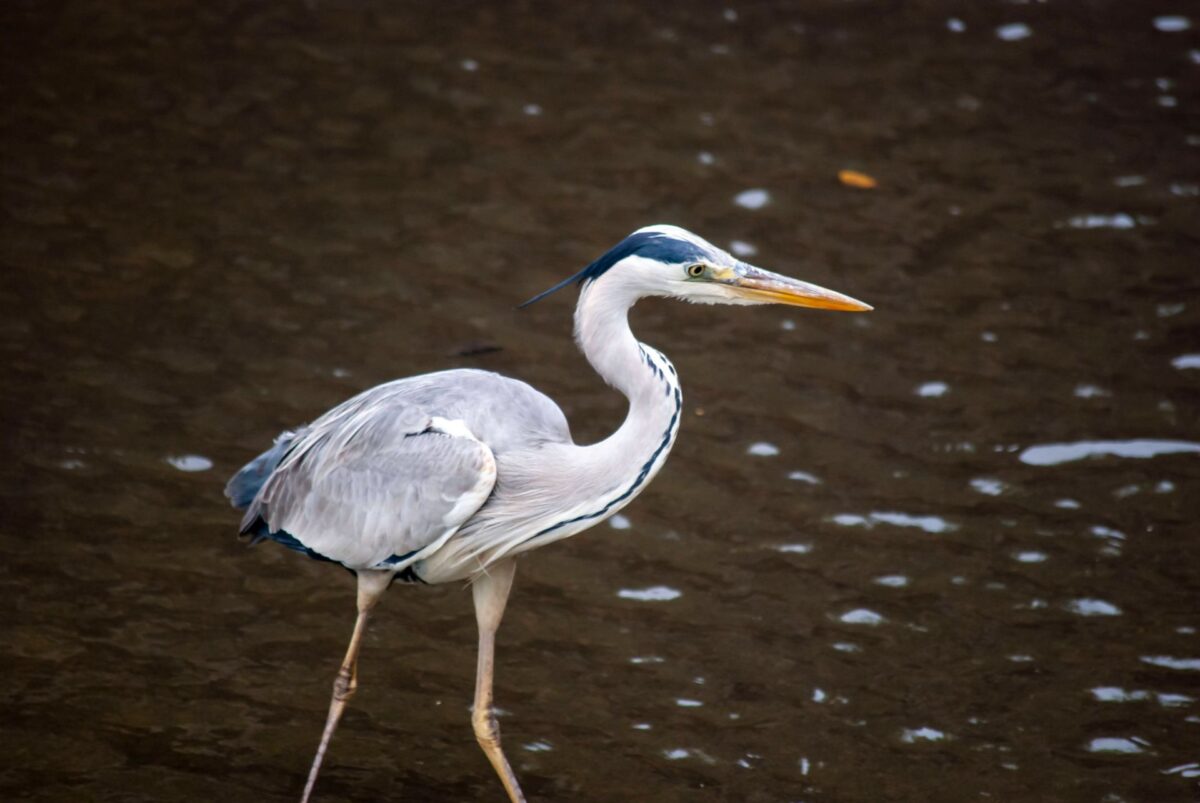 神は細部に宿る