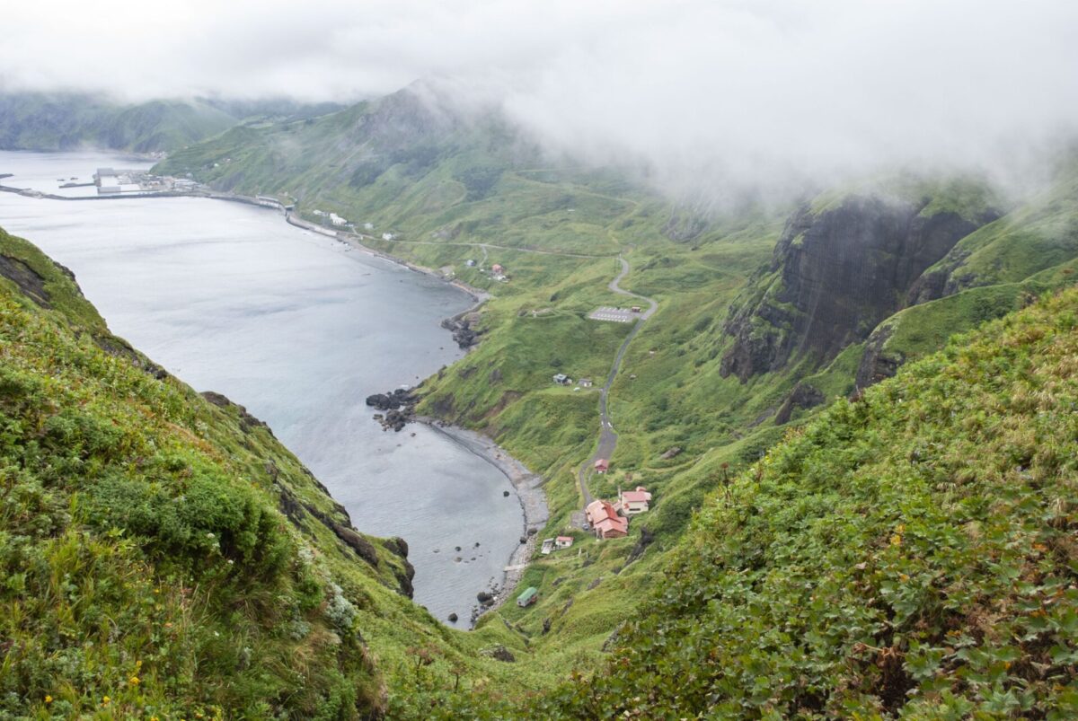 ちっちゃいどー [4]