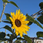 ただただ世界は狭い