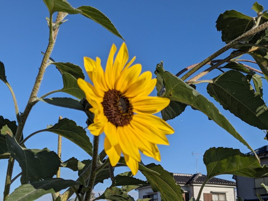 ただただ世界は狭い