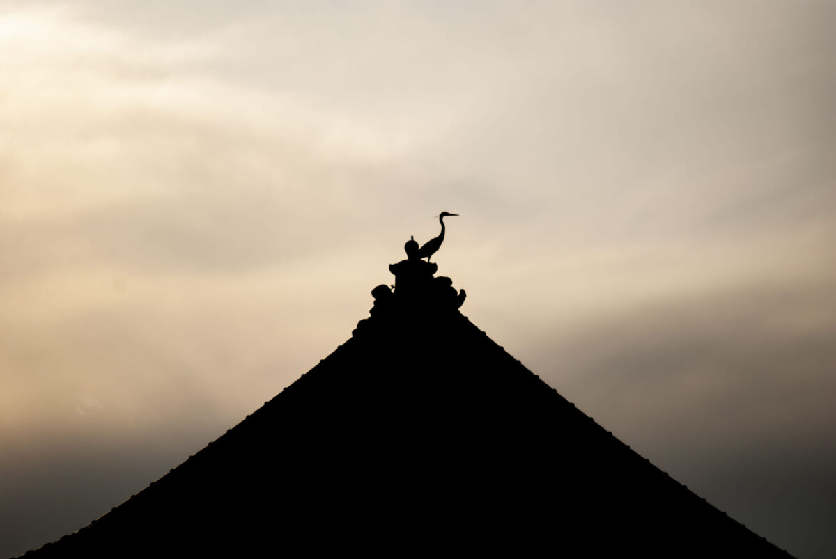 もっとハードルを下げよ もっとハードルを下げよ