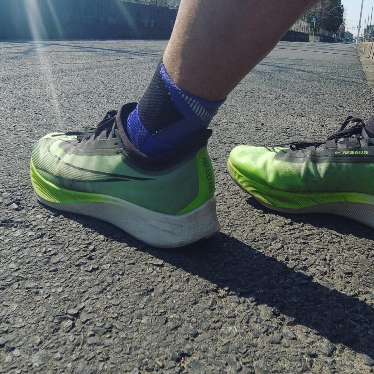 もちもちもふもふ もちもちもふもふ