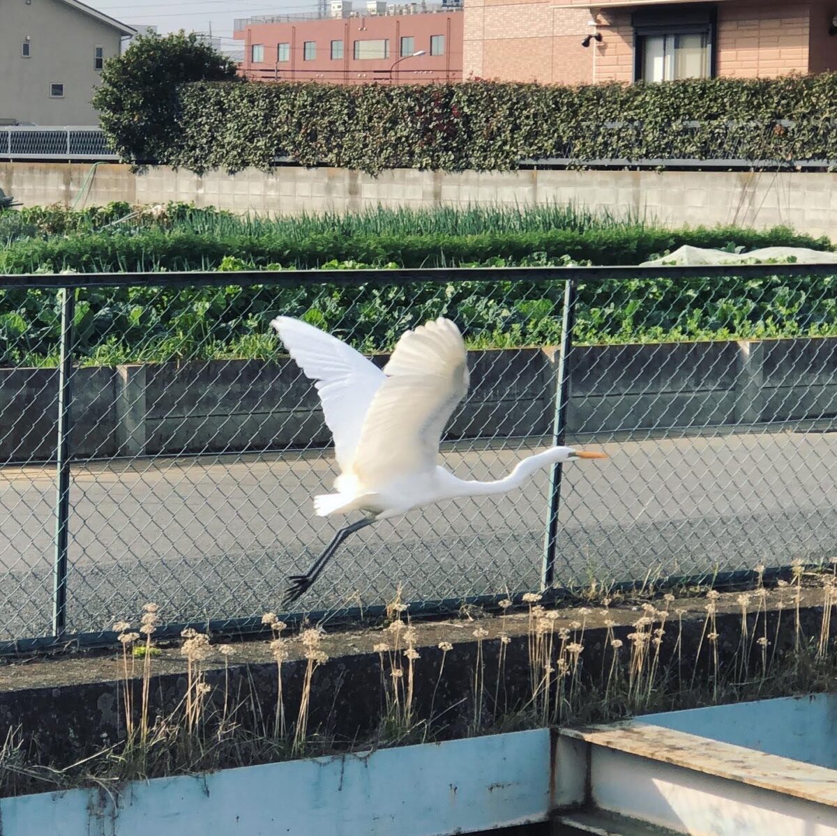 優しく置くように 優しく置くように