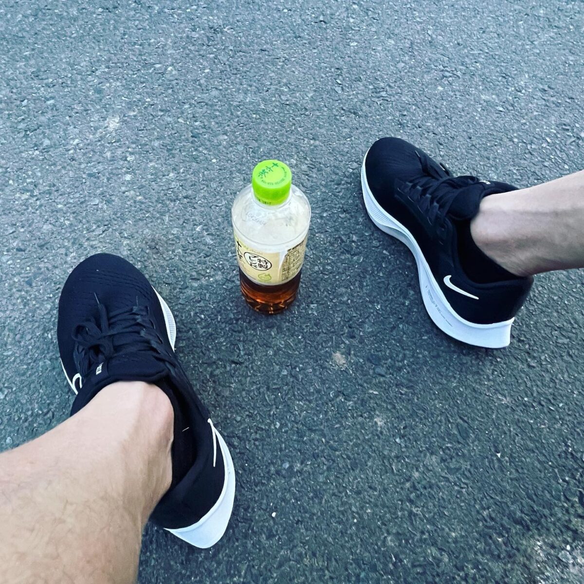 真夏の冬眠 真夏の冬眠