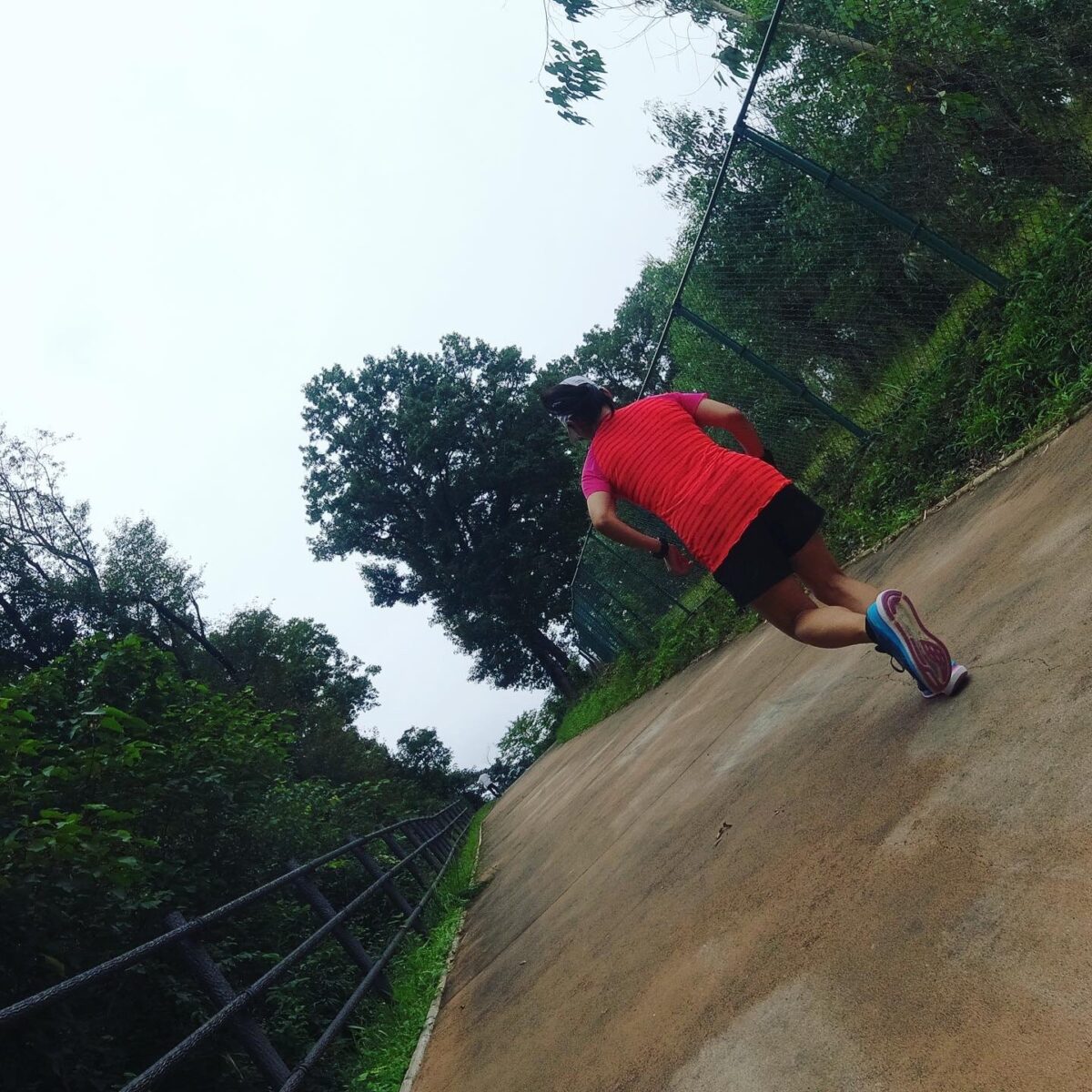 今日はどこに行こうか 今日はどこに行こうか