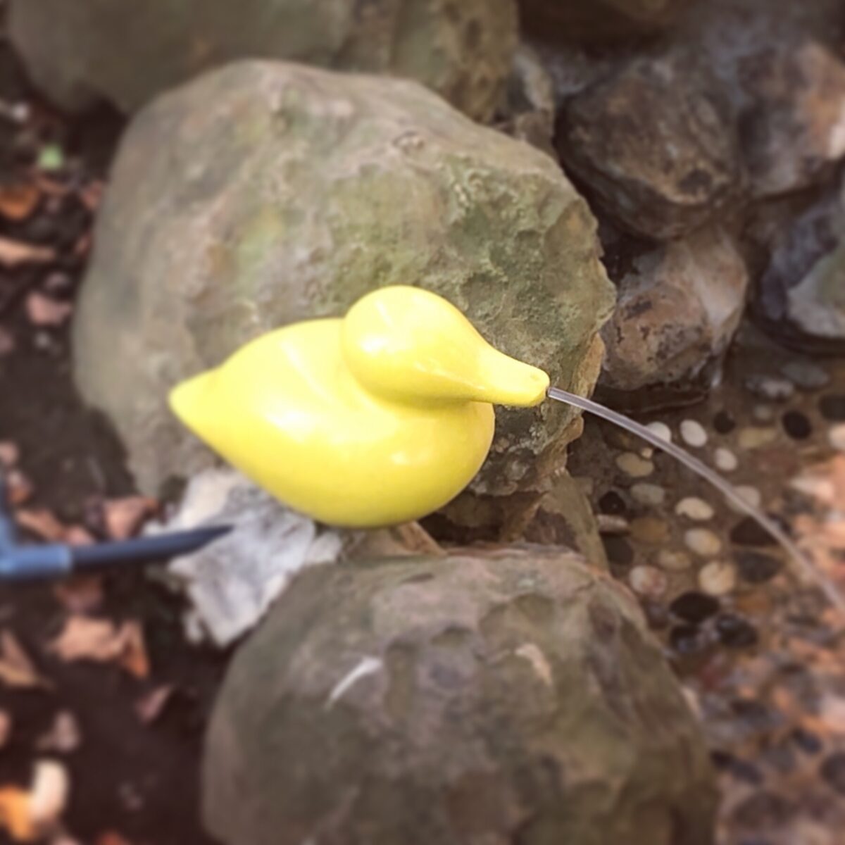 ぴゅーーーーー