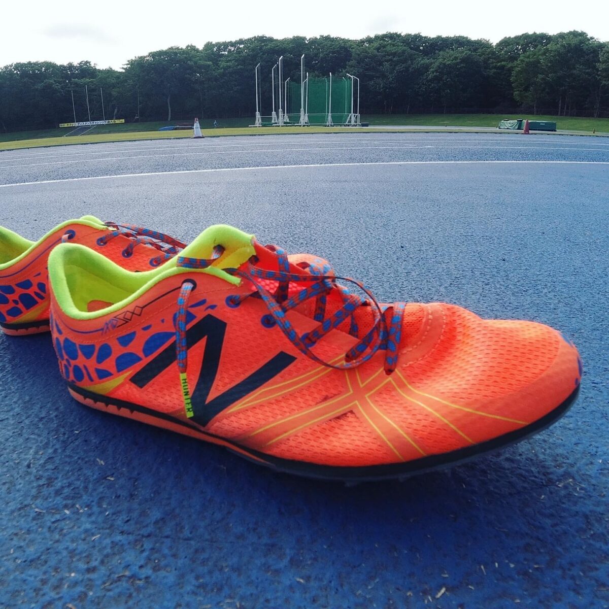 ドクにやられたドクガエル