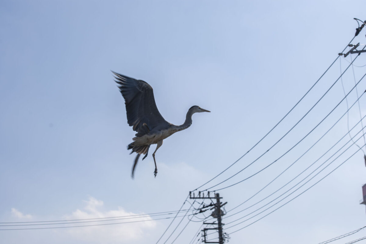 自分の体はいつまでもわからない 自分の体はいつまでもわからない