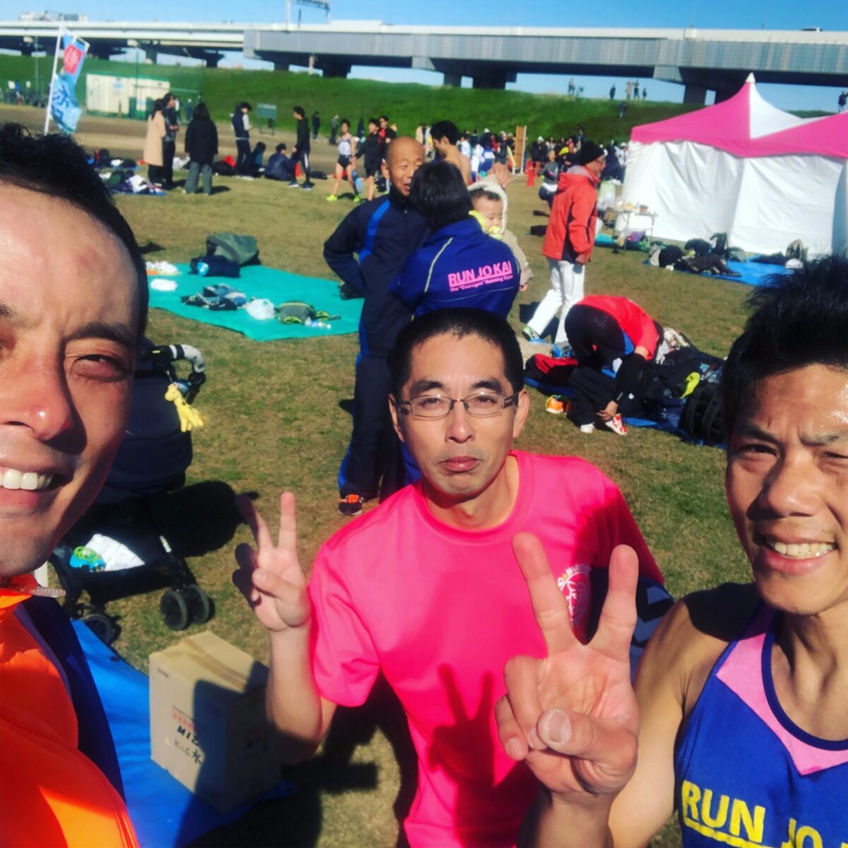 葛飾に散る 葛飾に散る