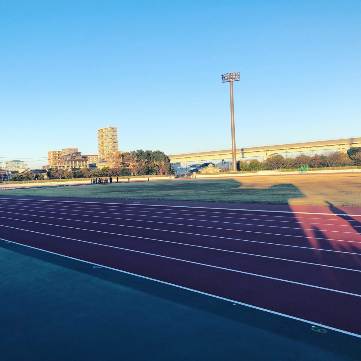 若者を使う 若者を使う