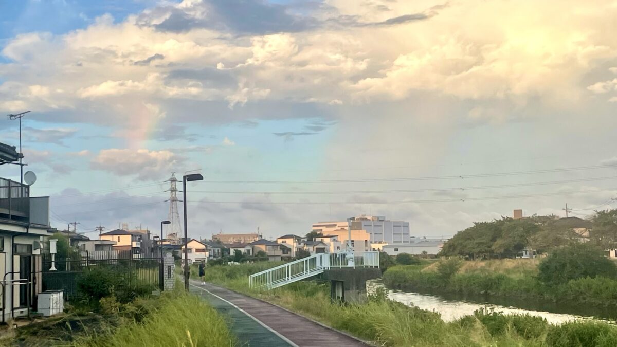 動きすぎるのは吉か凶か 動きすぎるのは吉か凶か