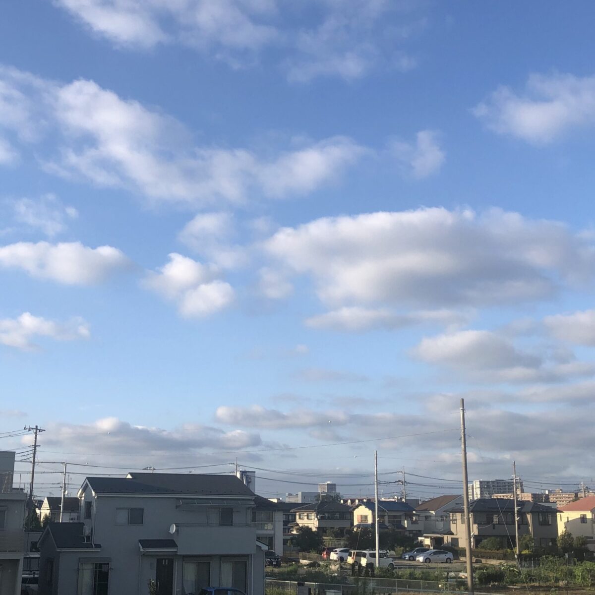 センバルサシコミ センバルサシコミ