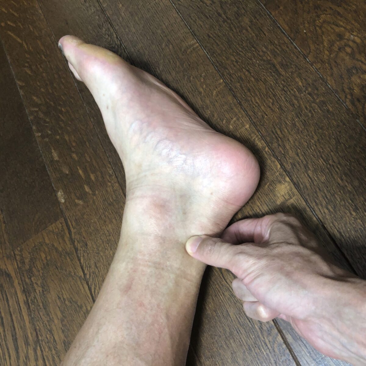 記録する 記録する