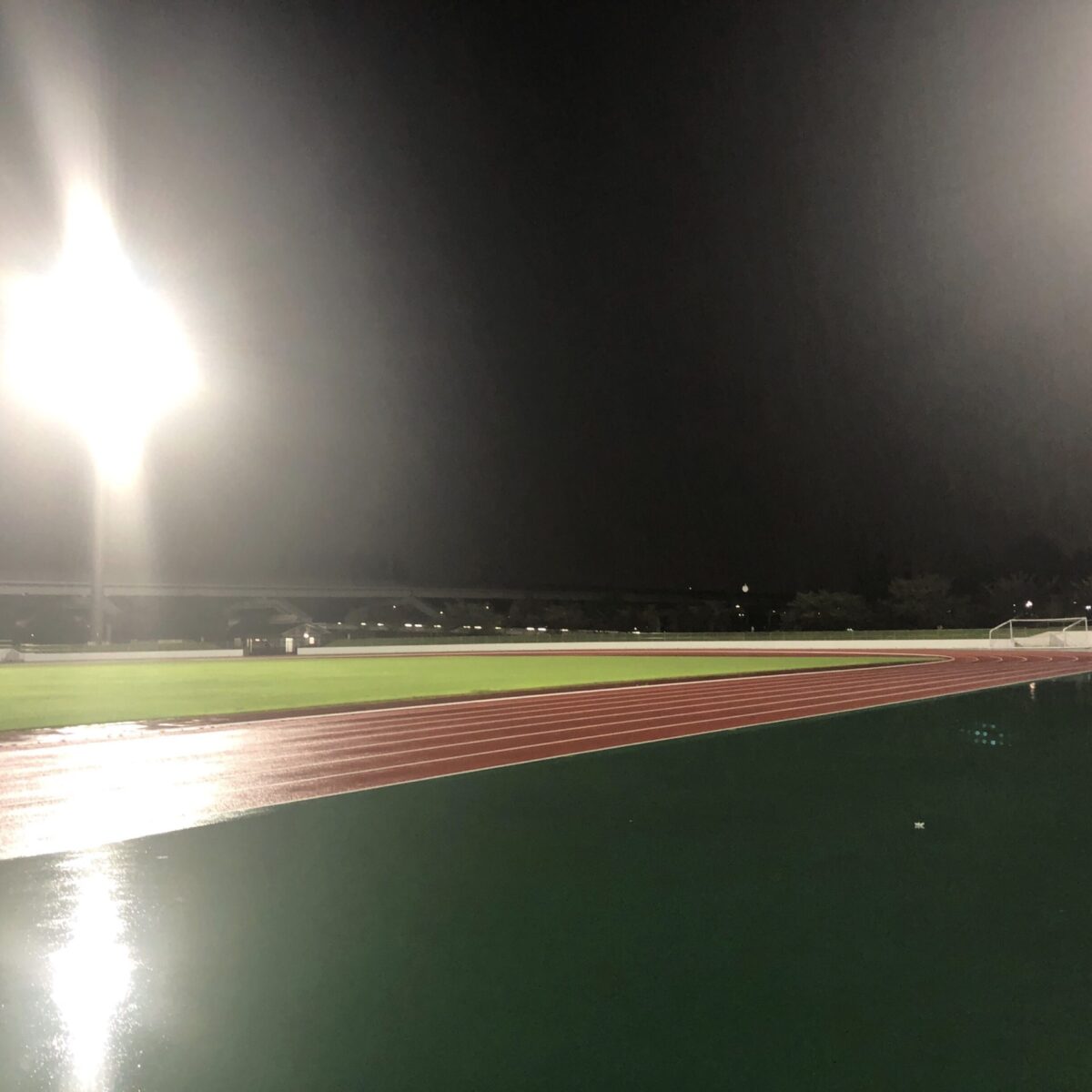 まぼろし まぼろし