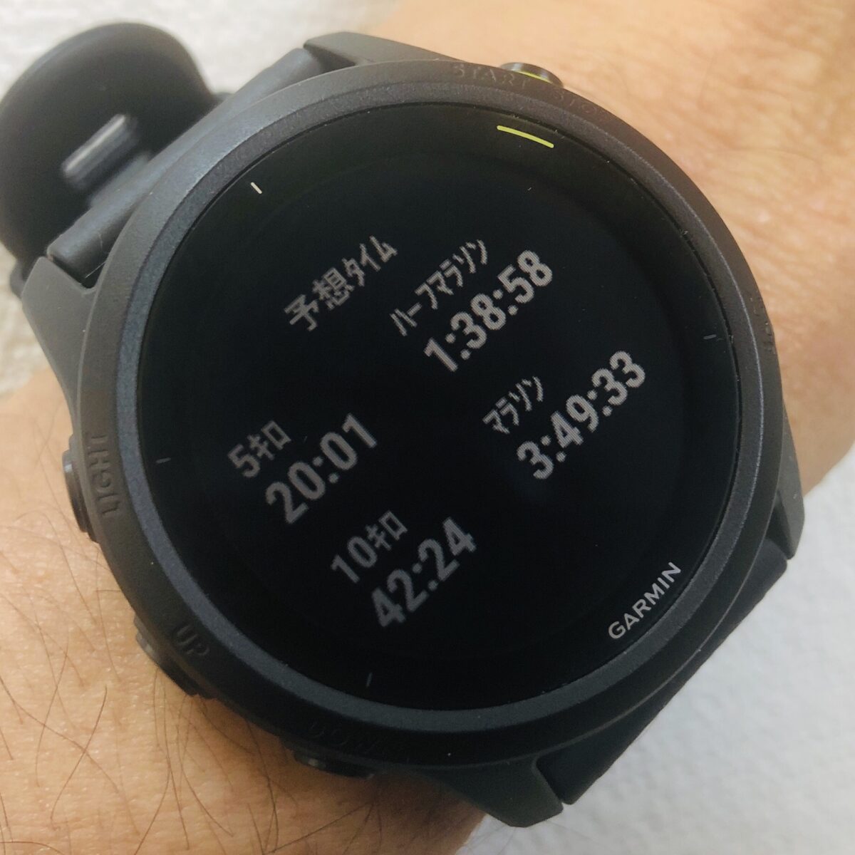 どこに向かうか どこに向かうか