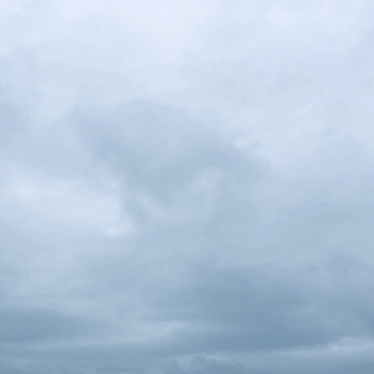 雨天ナガシ右ハム