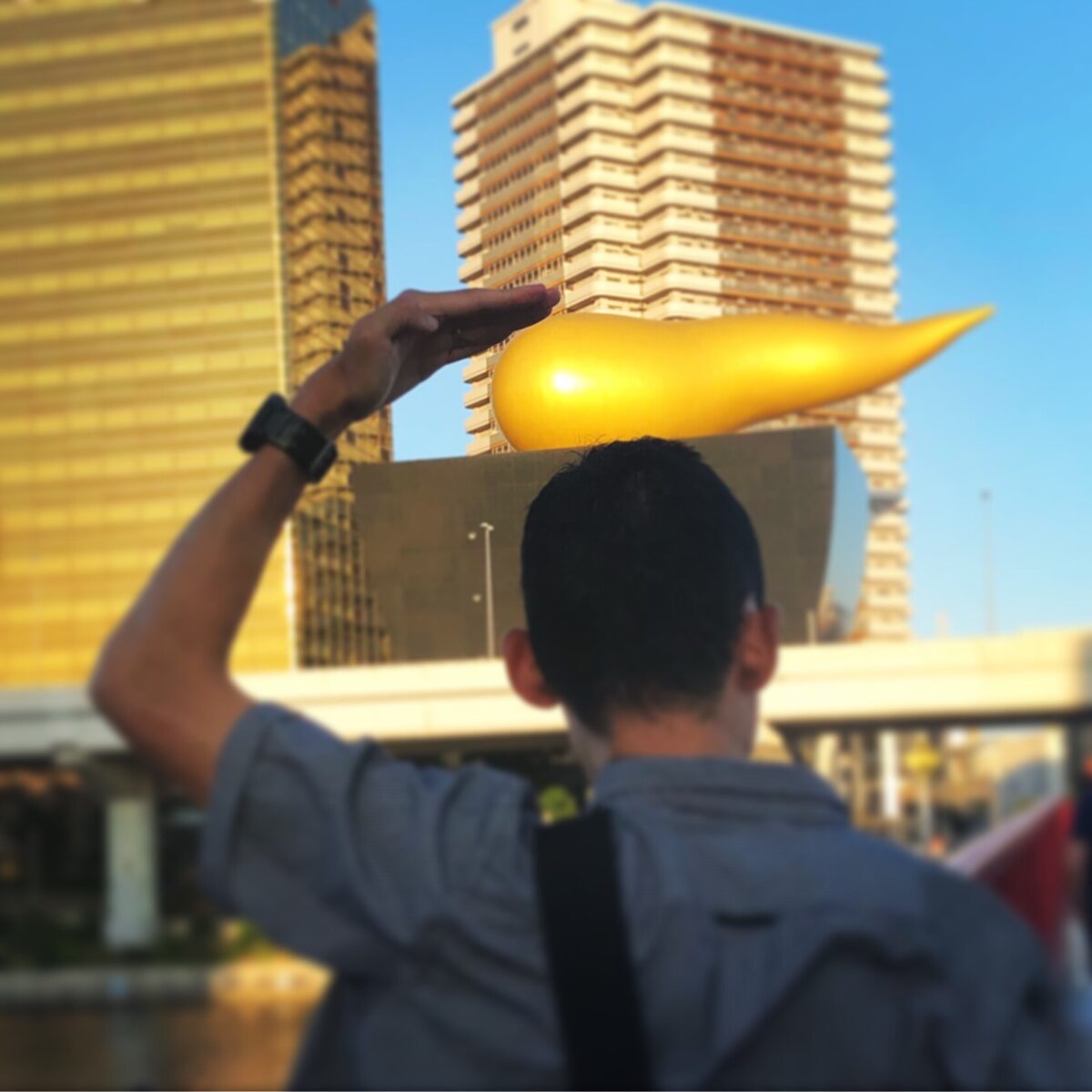 ボチボチ社会人