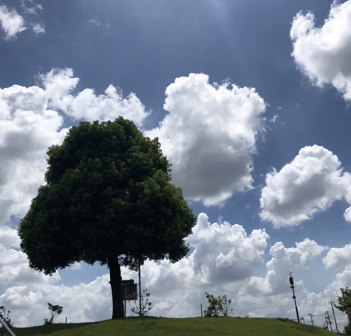 上尾市選手権 1500m 4’18″07 上尾市選手権 1500m 4’18″07