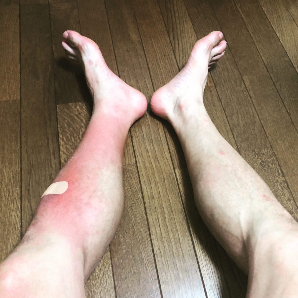 黄色ブドウ宴会