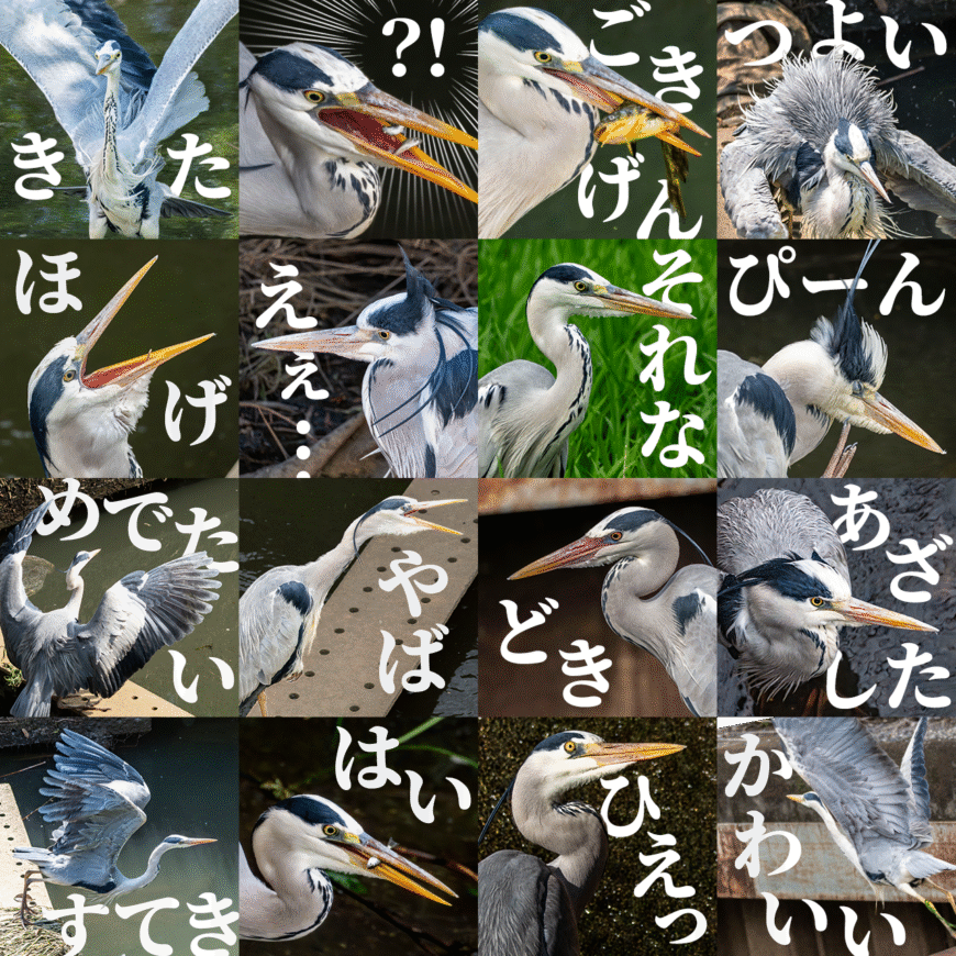 LINEスタンプ 「リアルアオサギ3」